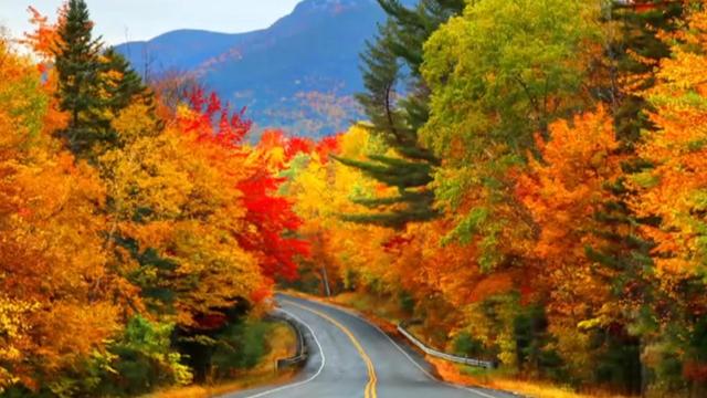 cbsn-fusion-how-climate-change-is-impacting-fall-foliage-thumbnail.jpg 