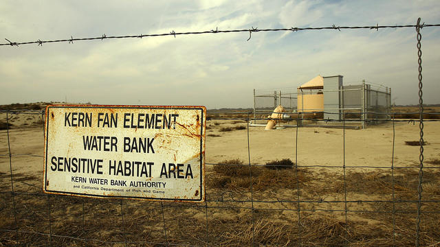 Kern Water Bank land and pumping station flanked by tumbleweeds, no longer tamed by agriculture Dec 