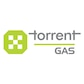 Torrent Gas Bill Payment