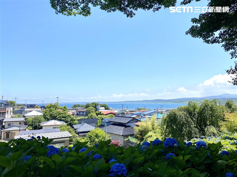 花海後方即是蔚藍的海洋。（圖／記者楊晏琳攝影）