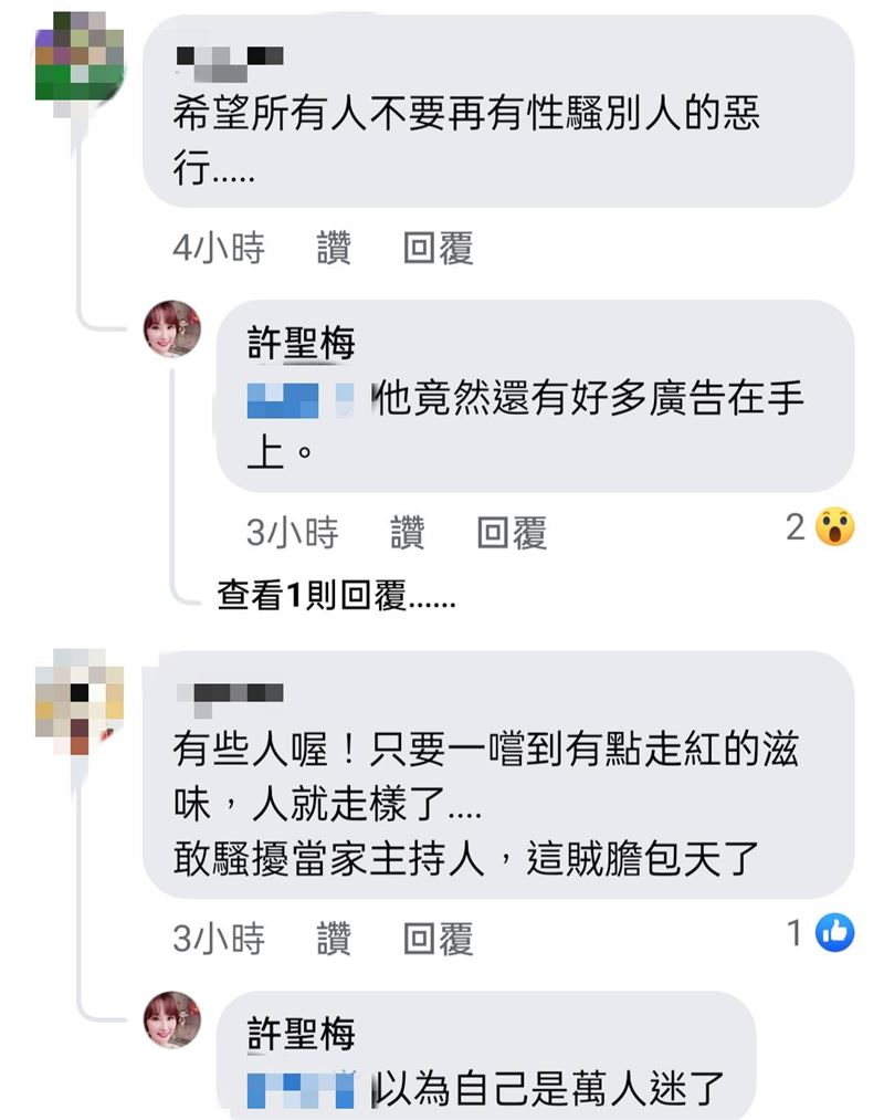 許聖梅回覆網友留言。（圖／翻攝自FB／許聖梅）