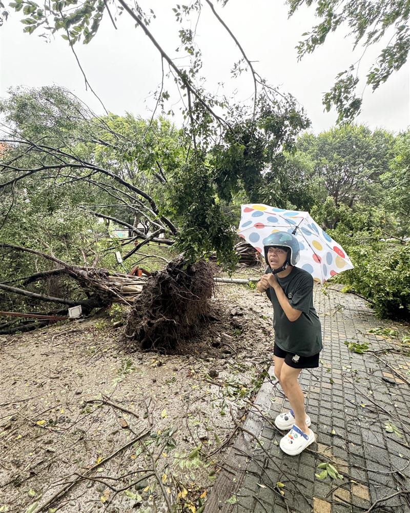 蔡阿嘎驚見路樹遭吹斷（圖／翻攝自臉書）