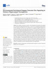 Research paper thumbnail of Environmental Enrichment Engages Vesicular Zinc Signaling to Enhance Hippocampal Neurogenesis