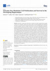 Research paper thumbnail of Vesicular Zinc Modulates Cell Proliferation and Survival in the Developing Hippocampus