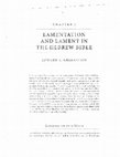 Research paper thumbnail of Lamentation and Lament in the Hebrew Bible