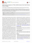 Research paper thumbnail of Draft Genome Sequences of ThreeBacillusSpecies from South African Marine Sponges