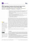 Research paper thumbnail of SIRT1 Signaling Is Involved in the Vascular Improvement Induced by Moringa Oleifera Seeds during Aging