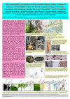 Research paper thumbnail of The remarkable rock shelter of Flözerbändli (Muota Valley, Canton of Schwyz, Switzerland): A key site for the reconstruction of the flora, vegetation and landscape during the Late Palaeolithic / Early Mesolithic