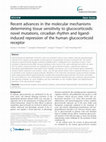 Research paper thumbnail of Recent advances in the molecular mechanisms determining tissue sensitivity to glucocorticoids: novel mutations, circadian rhythm and ligand-induced repression of the human glucocorticoid receptor