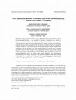 Research paper thumbnail of From Telefónica to Movistar: A European Case of the Transformation of a Telecom Into a Global TV Company