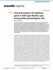 Research paper thumbnail of Characterization of subtilosin gene in wild type Bacillus spp. and possible physiological role