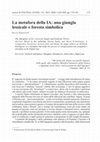 Research paper thumbnail of La metafora della IA: una giungla lessicale e foresta simbolica