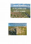 Research paper thumbnail of DRNIŠ MOSQUES  IN PICTURES AND IN FEW WORDS