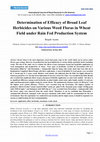 Research paper thumbnail of Determination of Efficacy of Broad Leaf Herbicides on Various Weed Floras in Wheat Field under Rain Fed Production System