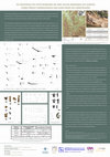 Research paper thumbnail of POSTER | Os materiais do sítio romano de Eira Velha (Miranda do Corvo) como índice cronológico das suas fases de construção