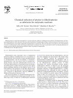 Research paper thumbnail of Chemical Reduction of Pterins to Dihydropterins As Substrates for Enzymatic Reactions