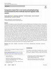 Research paper thumbnail of Comparative study of the in vivo toxicity and pathophysiology of envenomation by three medically important Egyptian snake venoms