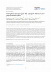 Research paper thumbnail of Scleroglucan and guar gum: The synergistic effects of a new polysaccharide system