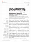 Research paper thumbnail of The Life Cycle of the Acropora Coral-Eating Flatworm (AEFW), Prosthiostomum acroporae; The Influence of Temperature and Management Guidelines