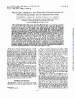 Research paper thumbnail of Phenotypic, antigenic, and molecular characterization of Pasteurella piscicida strains isolated from fish