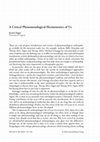 Research paper thumbnail of A Critical Phenomenological-Hermeneutics of Us