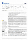 Research paper thumbnail of Decreased MARCKS Protein Expression in Kidney Cortex Membrane Fractions of Cathepsin B Knockout Mice Is Associated with Reduced Lysophosphatidylcholine and Protein Kinase C Activity