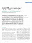 Research paper thumbnail of Syndapin/SDPN-1 is required for endocytic recycling and endosomal actin association in the C. elegans intestine