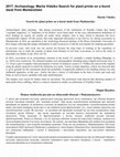 Research paper thumbnail of Пошук відбитків рослин на обпаленій обмазці з Майданецького