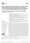 Research paper thumbnail of Dietary Supplementation with Pomegranate and Onion Affects Lipid and Protein Oxidation in the Breast Meat, Thigh, and Liver, Cellular Stress Protein Responses, and Gene Expression of Liver Enzymes Involved in Protein Synthesis in Broilers