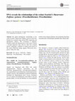 Research paper thumbnail of DNA reveals the relationships of the extinct Scarlett’s Shearwater Puffinus spelaeus (Procellariiformes: Procellariidae)