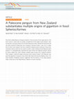 Research paper thumbnail of A Paleocene penguin from New Zealand substantiates multiple origins of gigantism in fossil Sphenisciformes