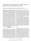 Research paper thumbnail of Ionic Mechanism of Electroresponsiveness in Cerebellar Granule Cells Implicates the Action of a Persistent Sodium Current