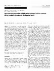 Research paper thumbnail of Age-dependent expression of high-voltage activated calcium currents during cerebellar granule cell development in situ