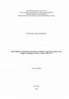 Research paper thumbnail of Redes indígenas e missionárias: descimentos carmelitas e reducciones jesuíticas entre omáguas, yurimáguas, aysuares e manaos (1686-1757)