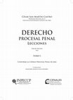 Research paper thumbnail of Derecho Procesal Penal. Lecciones (Tomo I y II) - César San Martín Castro (Ed. 2024