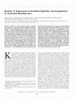 Research paper thumbnail of Keratin 15 Expression in Stratified Epithelia: Downregulation in Activated Keratinocytes