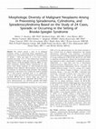 Research paper thumbnail of Morphologic Diversity of Malignant Neoplasms Arising in Preexisting Spiradenoma, Cylindroma, and Spiradenocylindroma Based on the Study of 24 Cases, Sporadic or Occurring in the Setting of Brooke-Spiegler Syndrome