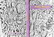 Research paper thumbnail of ANDRÉ MASSON. Textos sobre España