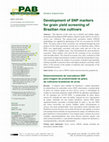 Research paper thumbnail of Development of SNP markers for grain yield screening of Brazilian rice cultivars