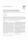 Research paper thumbnail of Selection of rice genotypes with greater seedling vigor under controlled conditions