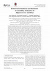 Research paper thumbnail of Pattern-formation mechanisms in motility mutants of Myxococcus xanthus