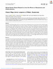 Research paper thumbnail of Classic Maya mirror conjurors of Waka', Guatemala