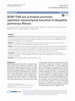 Research paper thumbnail of BDNF/TrkB axis activation promotes epithelial–mesenchymal transition in idiopathic pulmonary fibrosis