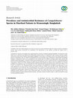 Research paper thumbnail of Prevalence and Antimicrobial Resistance of Campylobacter Species in Diarrheal Patients in Mymensingh, Bangladesh