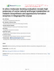 Research paper thumbnail of In silico molecular docking evaluation reveals high potencies of some natural antifungal metabolites on melanin biosynthesis and appressoria formation enzymes in Magnaporthe oryzae