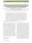 Research paper thumbnail of A small, narrow‐beaked albatross from the Pliocene of New Zealand demonstrates a higher past diversity in the feeding ecology of the Diomedeidae