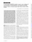 Research paper thumbnail of A homozygous BMPR1B mutation causes a new subtype of acromesomelic chondrodysplasia with genital anomalies