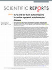 Research paper thumbnail of ILF2 and ILF3 are autoantigens in canine systemic autoimmune disease