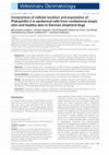 Research paper thumbnail of Comparison of cellular location and expression of Plakophilin-2 in epidermal cells from nonlesional atopic skin and healthy skin in German shepherd dogs