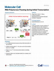 Research paper thumbnail of RNA Polymerase Pausing during Initial Transcription